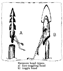 Harpoon Heads