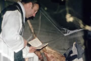 Father Brown conducting mass in a tent. Colville Lake, NWT, 1966.