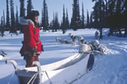 Margaret Brown and her huskies. Colville Lake, NWT.  