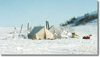 Spring camp at Ikinilik, 1992