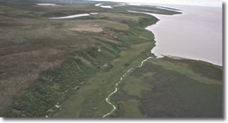 La rive est de l'île Richards près de l'embouchure du fleuve Mackenzie. Kuukpak était situé le long de la rive, de l'autre côté de la petite crique