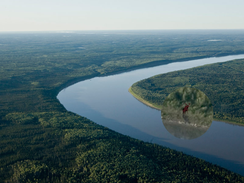 Moose River Game [M]