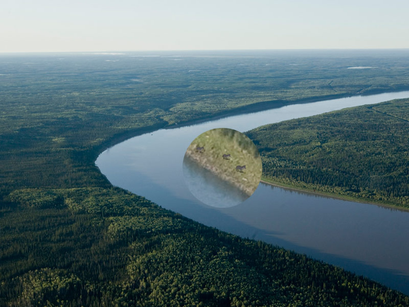Moose River Game [W]