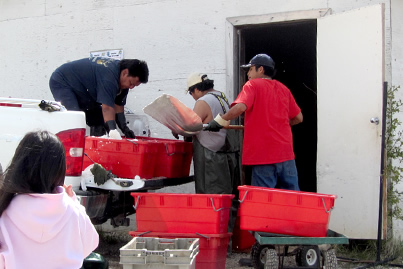 Photo Walk Workshop - Slide #10