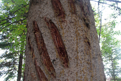 Photo Walk Workshop - Slide #4