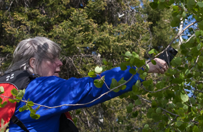 River Journey Workshop - Soundscapes