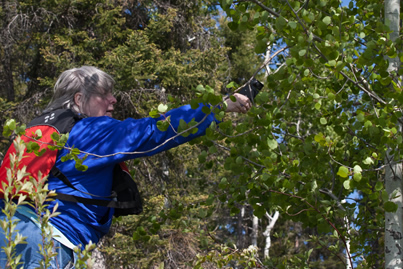 Soundscapes Workshop - Slide #9