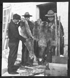 NWT Archives/Robinson N-2002-005: 0176