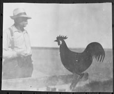 NWT Archives/Robinson N-2002-005: 0186